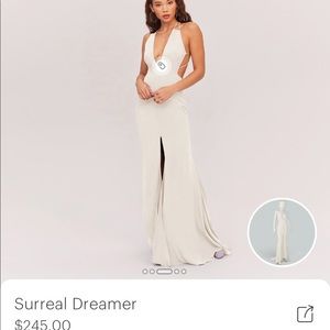 NWT Fame and Partners Open Back Gown